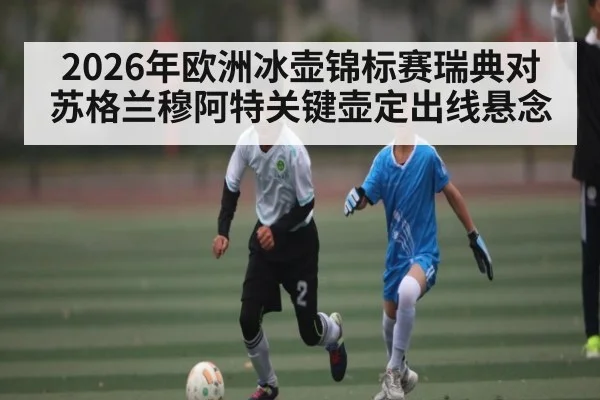 2026年欧洲冰壶锦标赛瑞典对苏格兰穆阿特关键壶定出线悬念